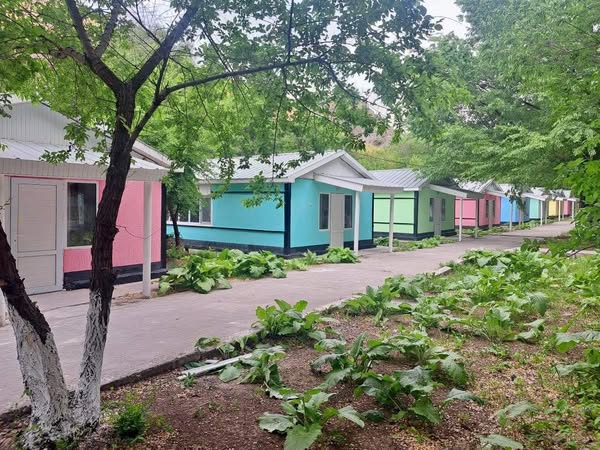 Түркістандық балалар алғаш рет модульді лагерде демалады