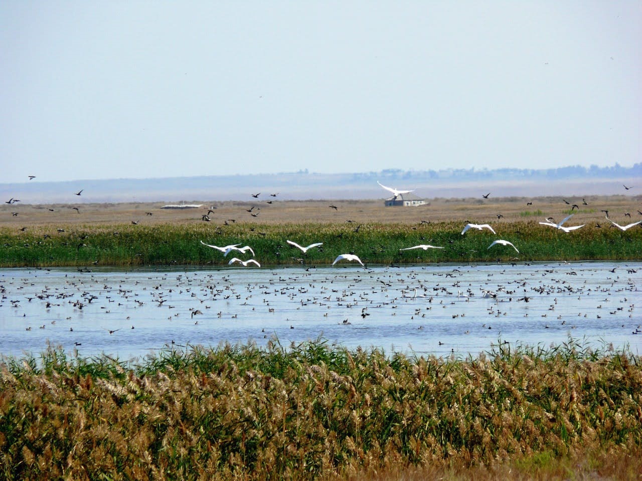 Аумағы кеңейген қорықтар