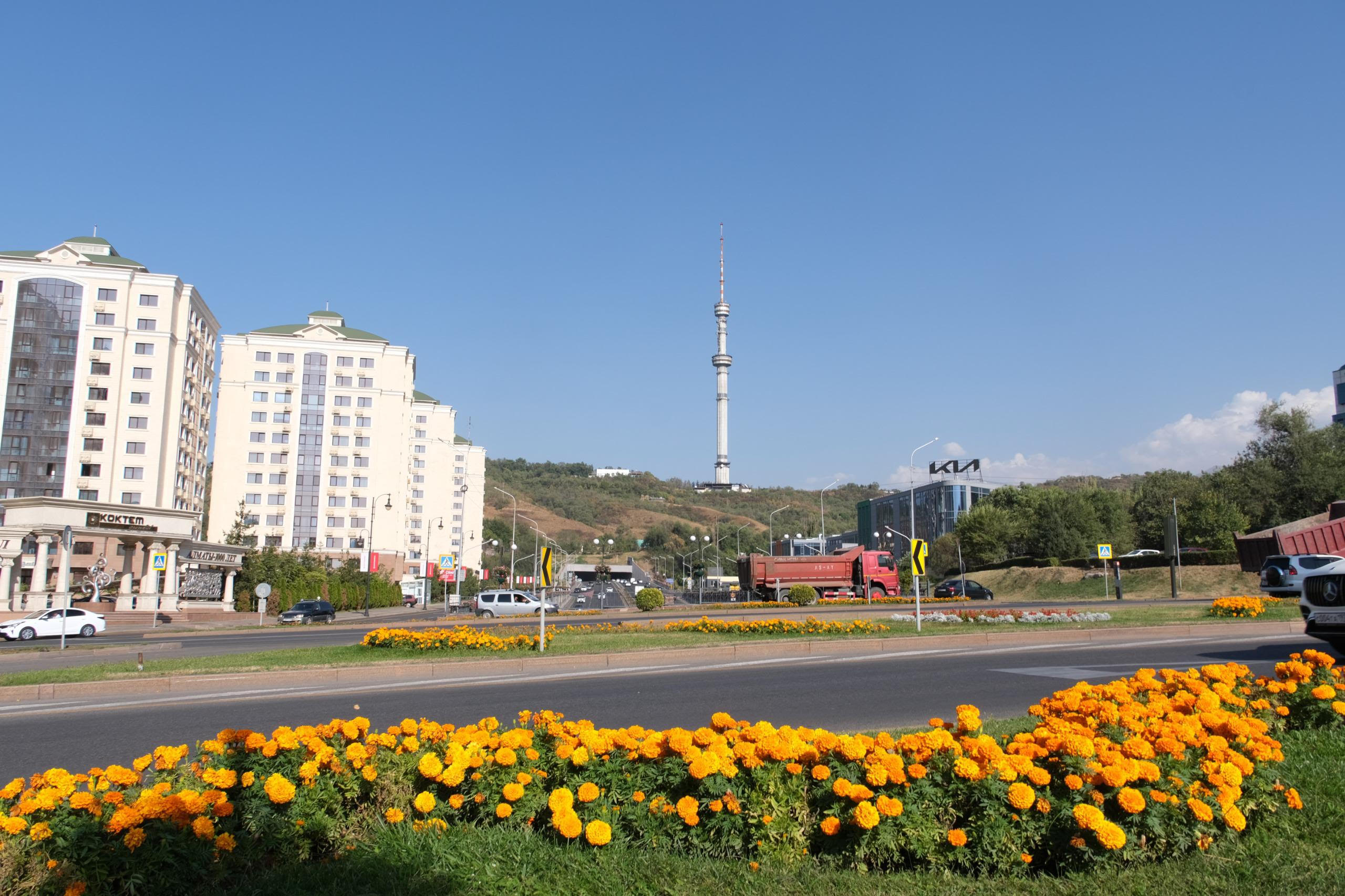 Алматының Туризм бюросы гастрономиялық гид әзірледі