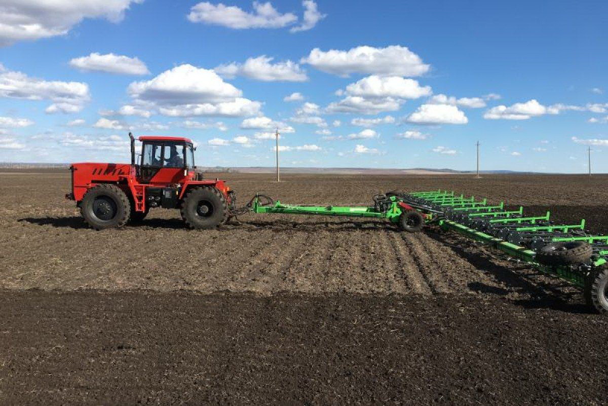 Шаруа алқапқа шықты