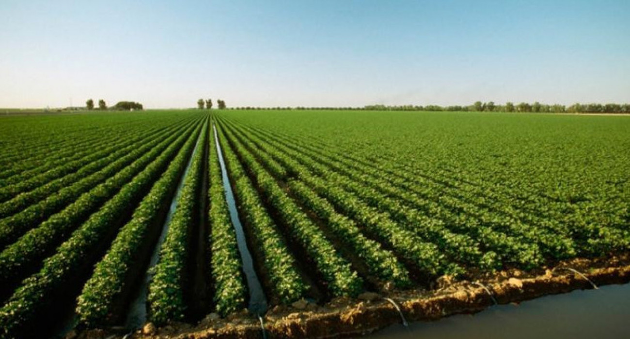 Мен кездейсоқ сантехникті порно көруге азғырдым. Шабындықтағы қатты секс