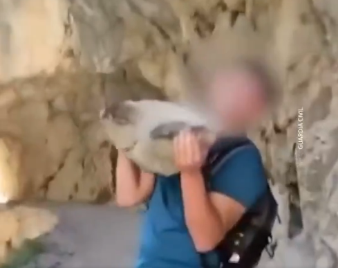 Туристке 114 миллион теңге айыппұл салынуы мүмкін