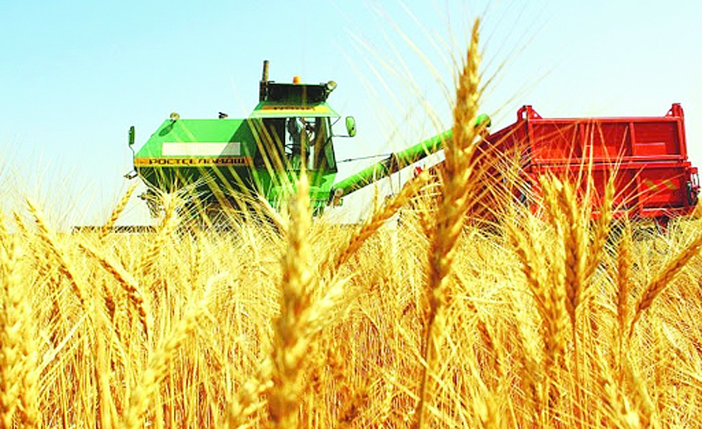 Шаруаның көңілі күпті