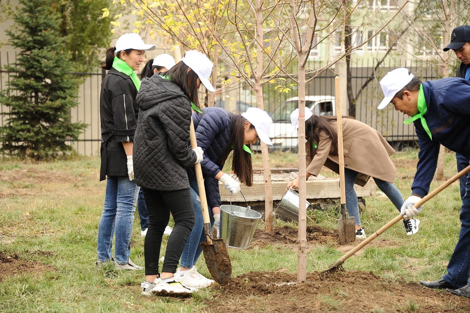 «Жасыл ел» жасағына қалай жұмысқа орналасуға болады?
