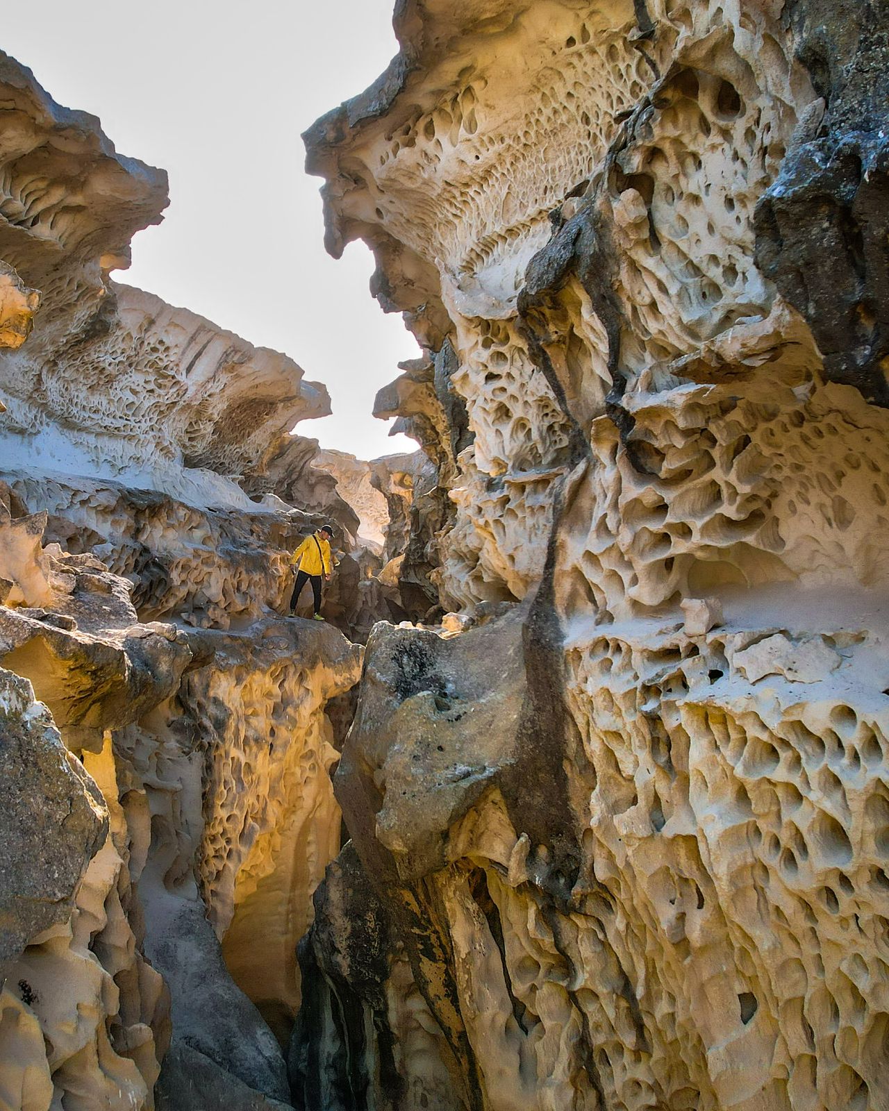 Қазақстандағы сіз білмейтін 7  туристік аймақ