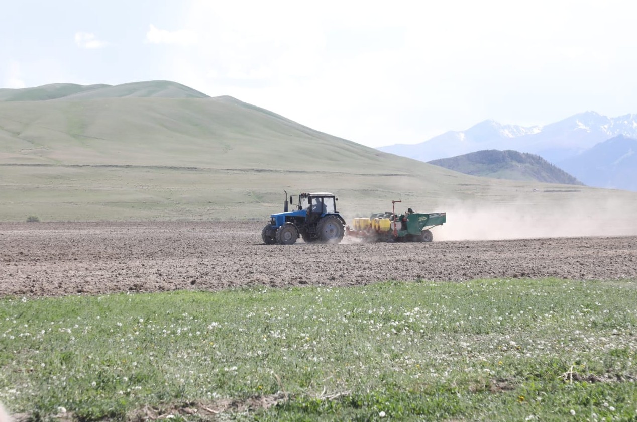 Шекаралық ауданның шаруасы ширақ