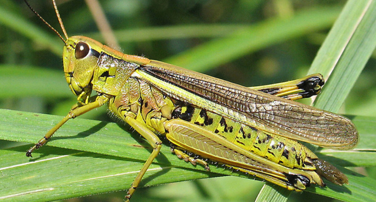 әйелінің үйдегі эротикалық фотосессиясы