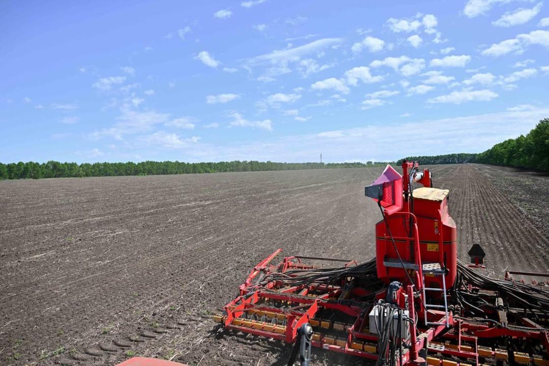 Егіс науқаны жалғасып жатыр