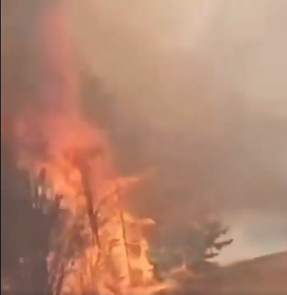 Манитобада орман өртіне байланысты төтенше жағдай енгізілді