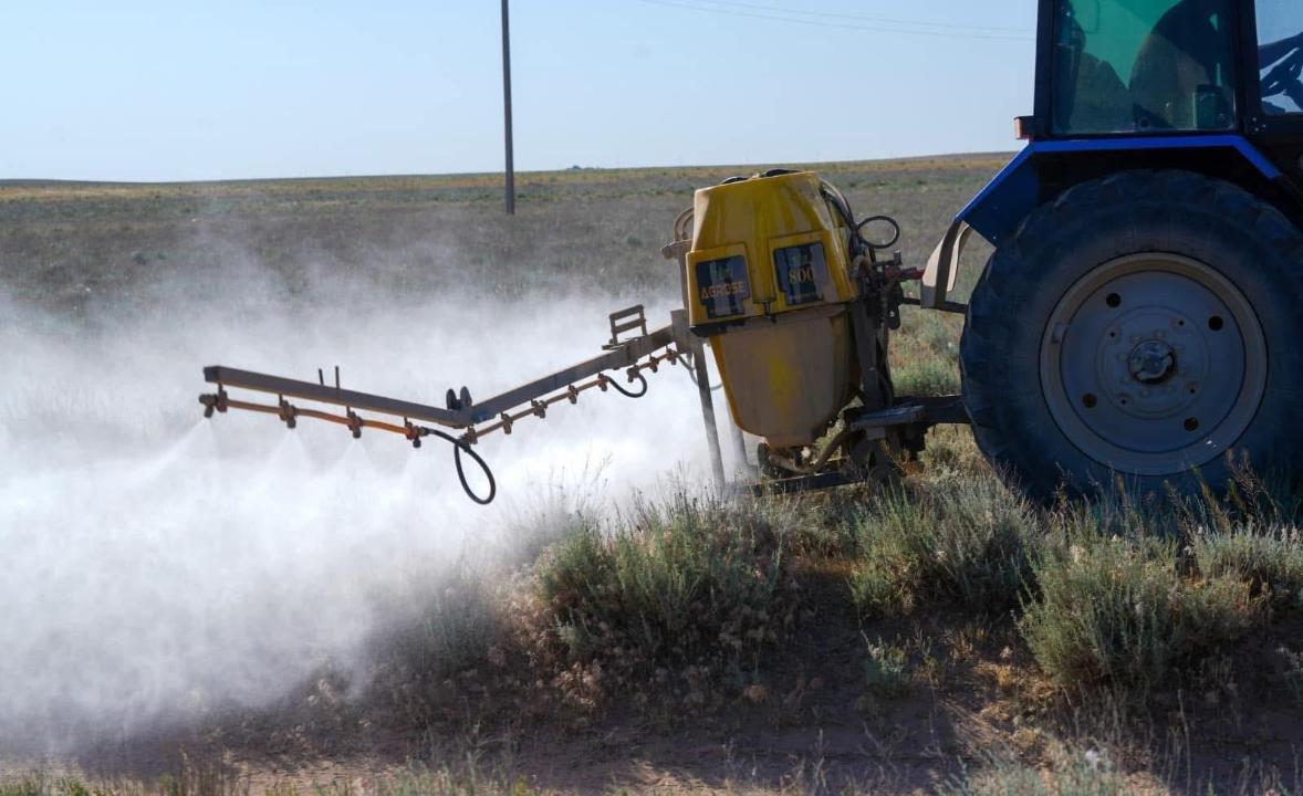 Шегірткеге қарсы күрес шаралары 844 мың гектар аумақта жүргізілді