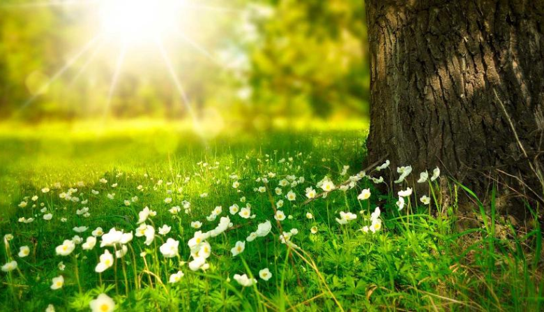 Маусым айында елімізде ауа райы қандай болады