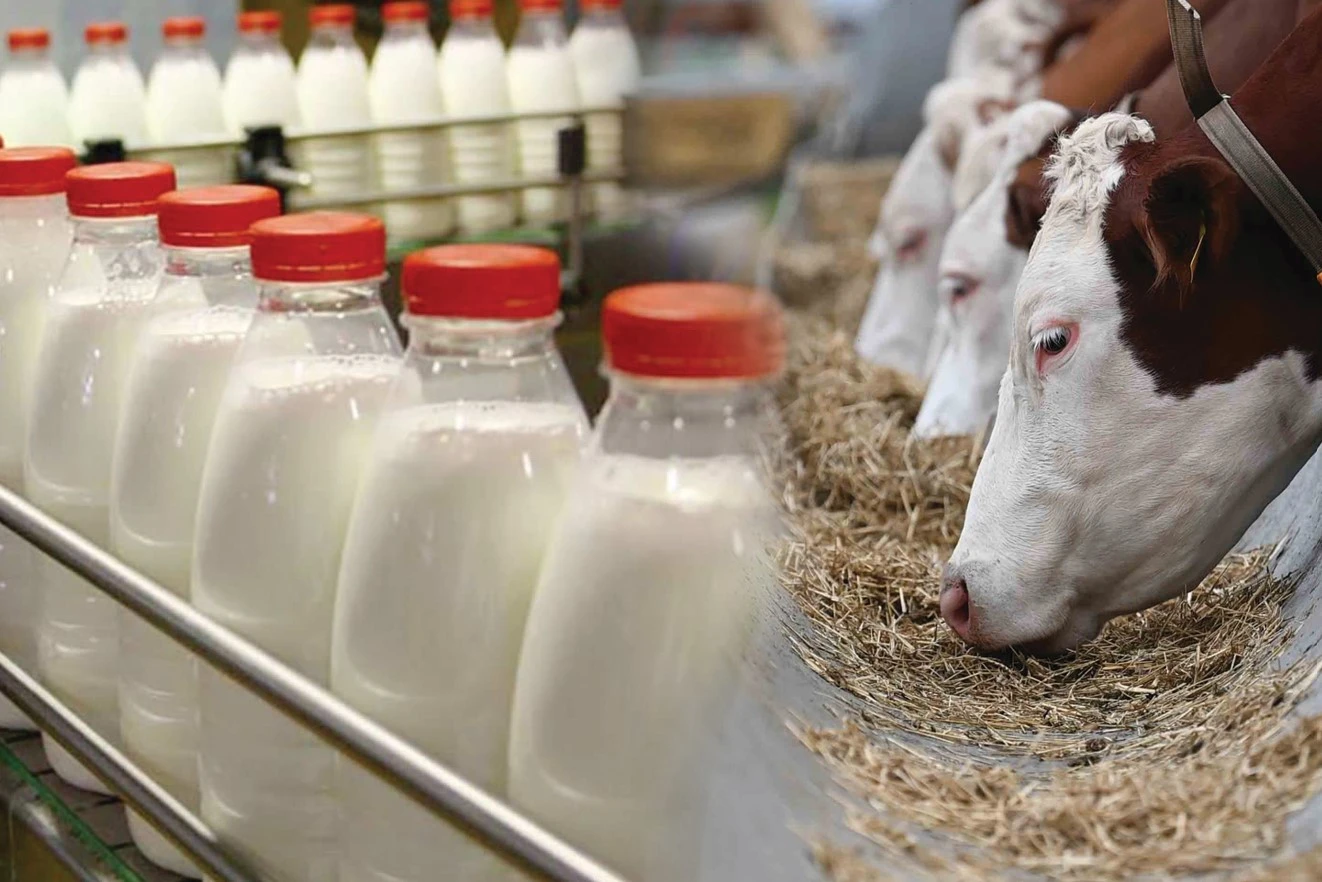 Қарағандыда заманауи сүт-тауар фермасы салынады