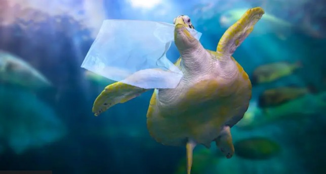 Пайдалы пластик