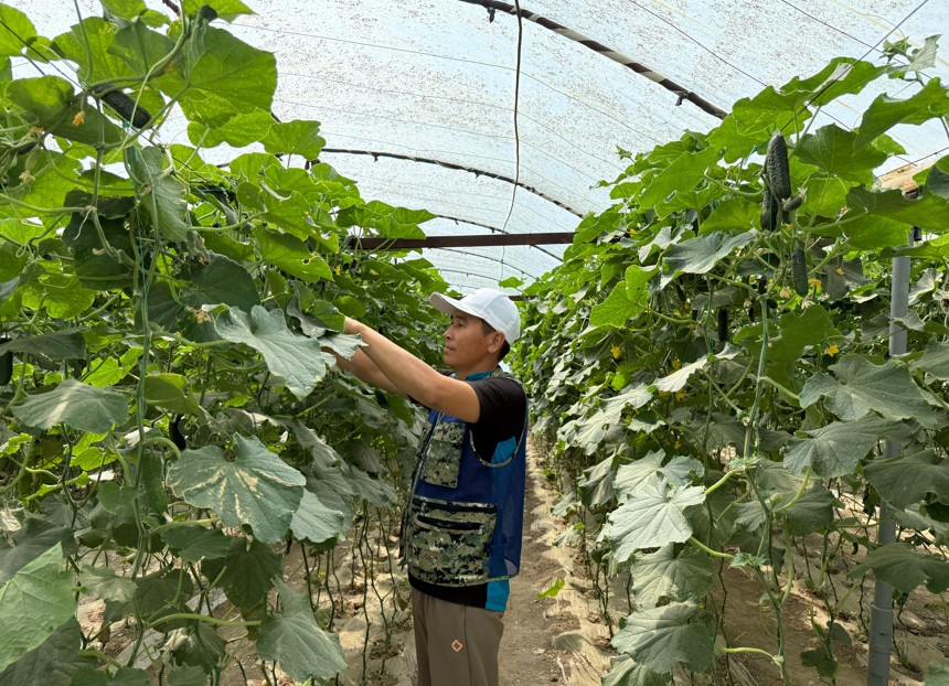 Еңбек еткен берекеге кенеледі