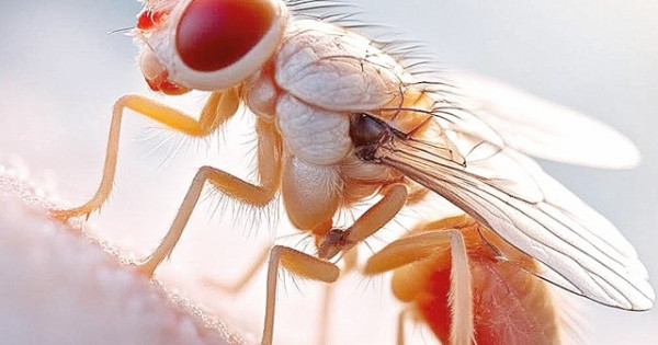 Ер адам және секс қуыршақ