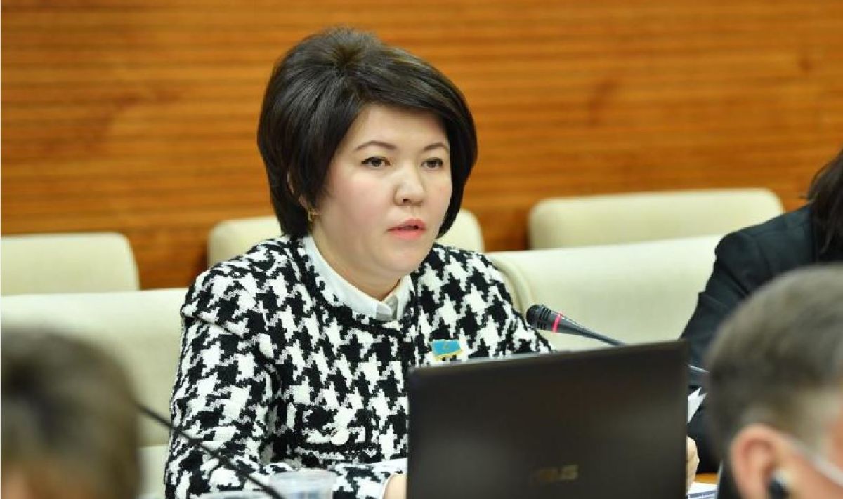 Депутат Назарбаев Университетінде қазақстандық мамандар үлесін арттыруды ұсынды