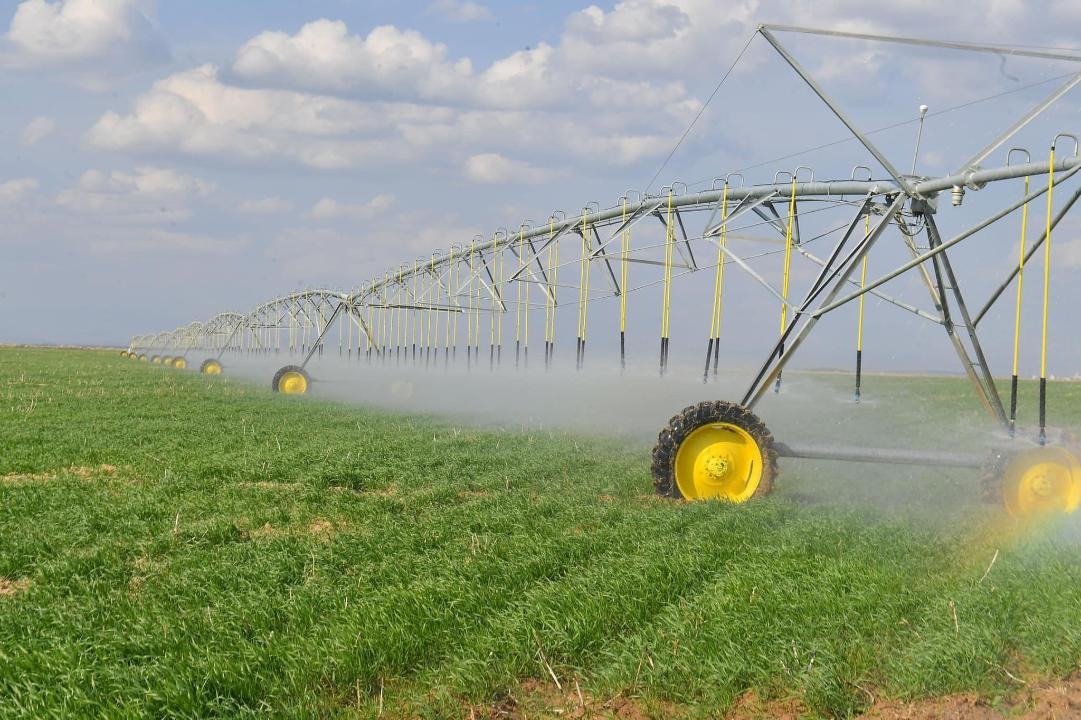 Түркістан облысында қуаңшылықпен күрес жүріп жатыр