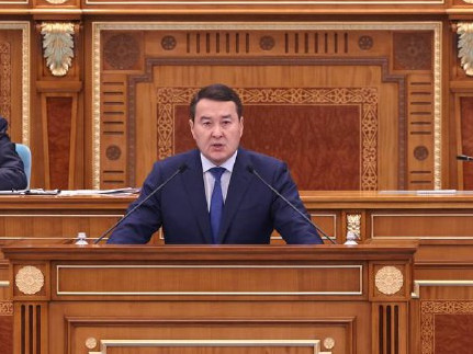 Жекешелендіру жоспарын жедел іске асыру керек - Әлихан Смайылов