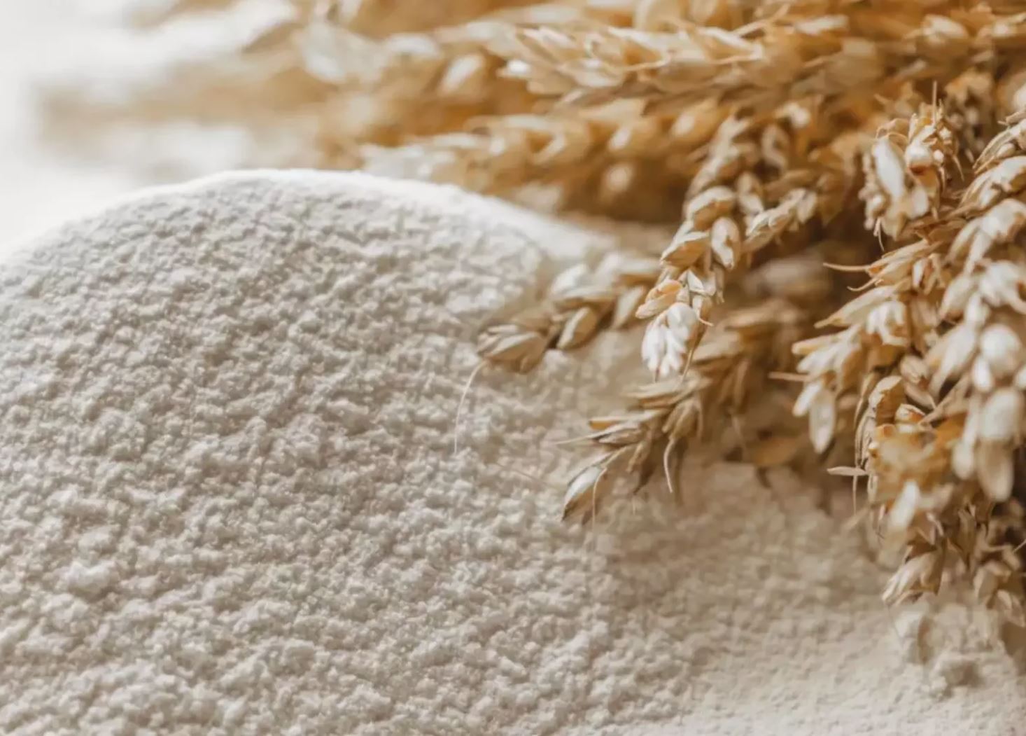 Ұн тартушылардың ұпайы түгелденеді