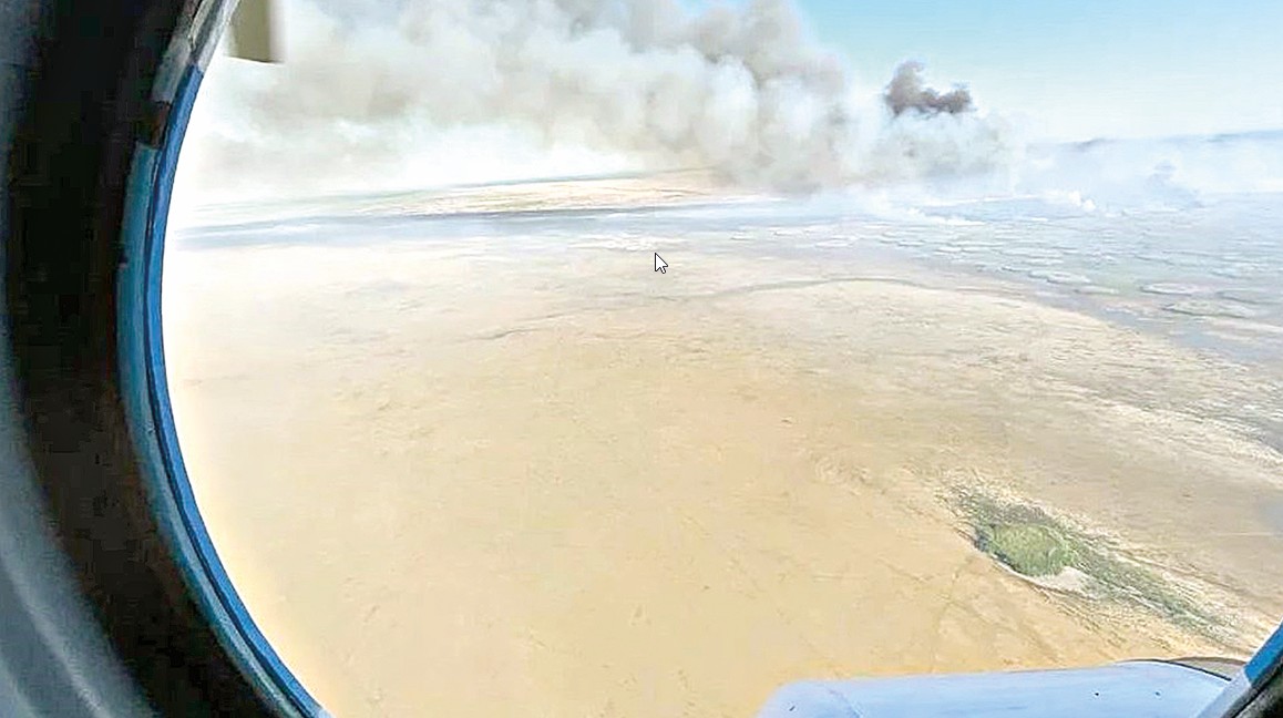 Қамыс өрті неге жиі қайталанады?