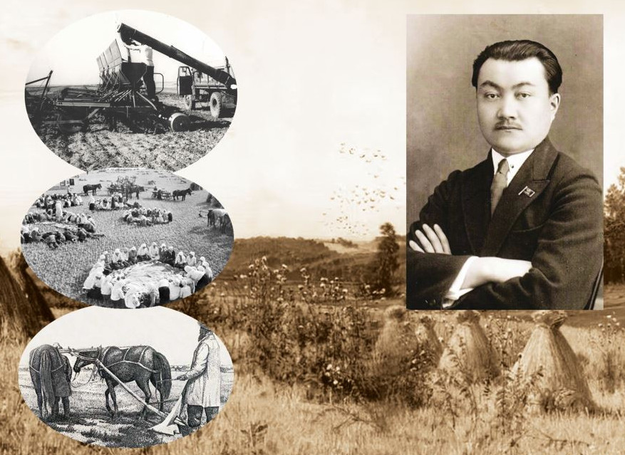 Смағұл Садуақасұлы: Ауылды дамыту тұжырымы