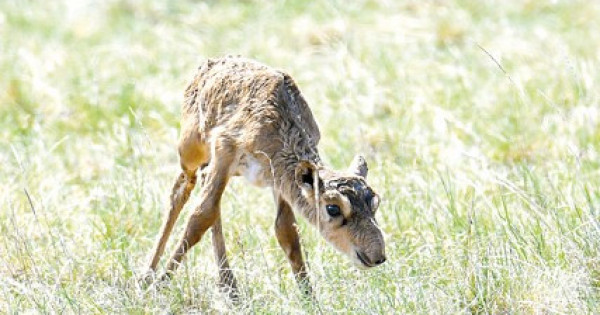 Дәретханадағы жасырын қауіпсіздік камерасы Әкесі қызы порно секс