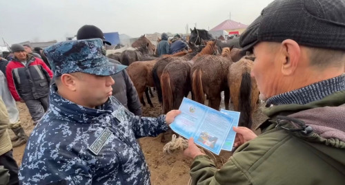 Ұқыпсыздың малы – ұрының «наны»