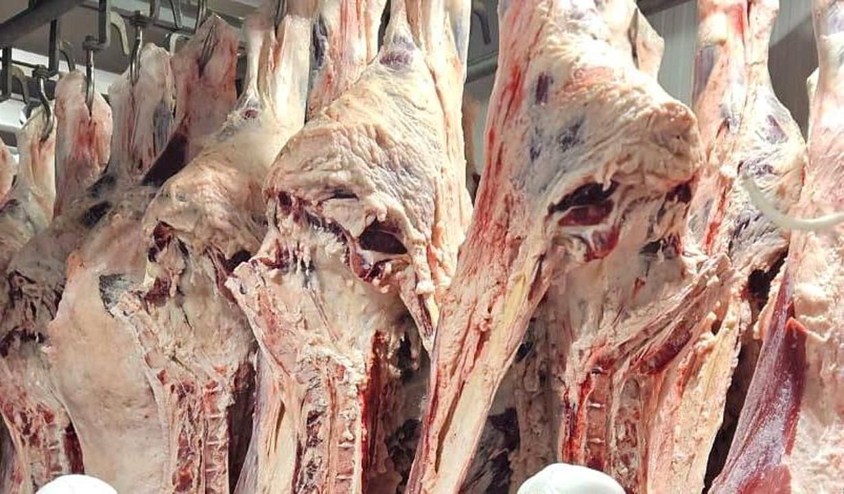 Май қосылған тамаша порно