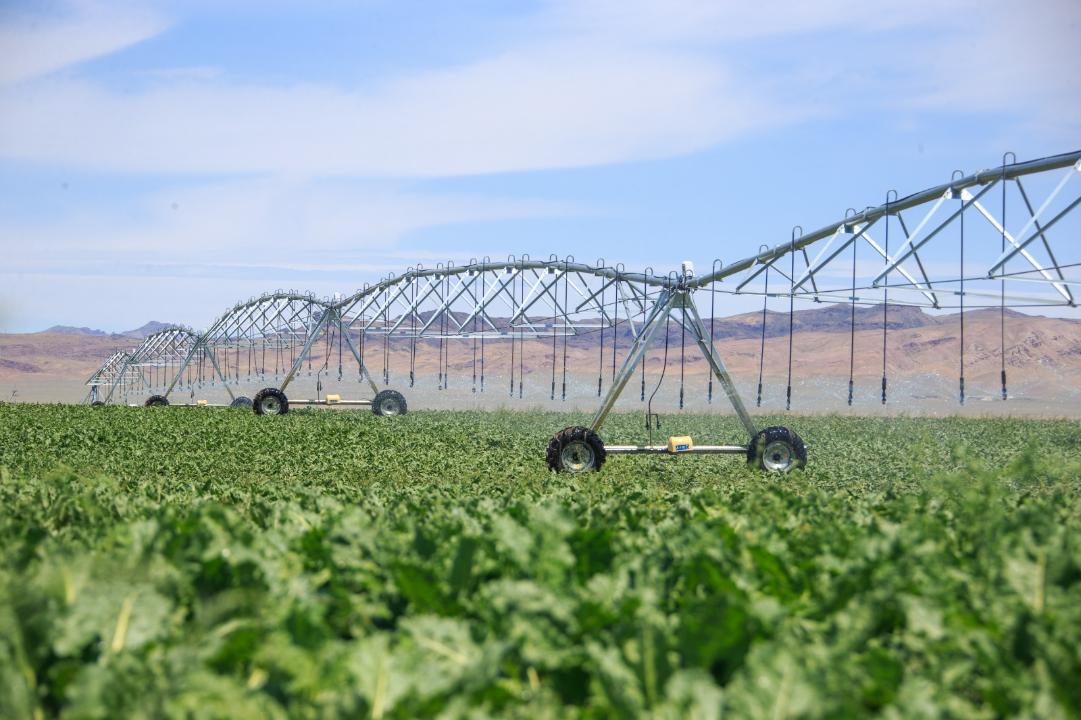 Жетісуда су үнемдеу технологиясы қай деңгейде?