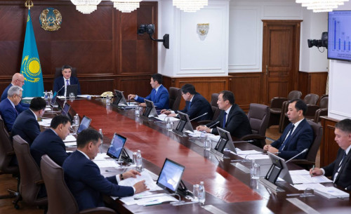 Ұлттық жүк әуекомпаниясын құру ұсынылды