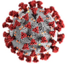 Чикунгунья вирусының індетке айналу қаупі бар