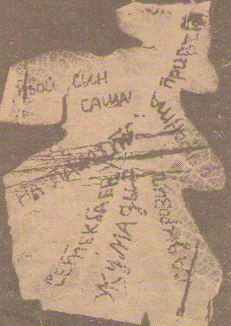 Жапырақпен жолданған сағыныш