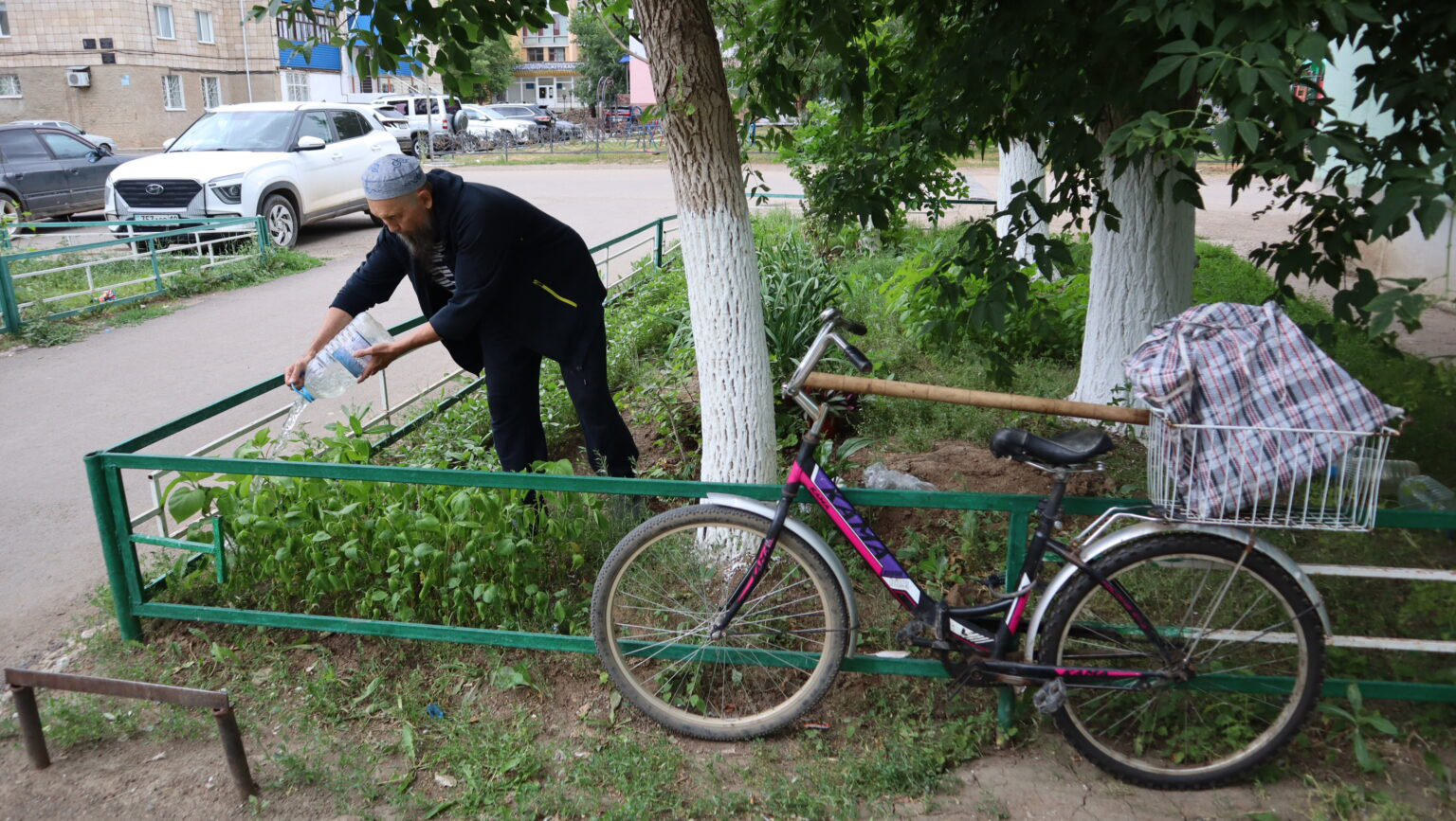 Белесебет мінген бағбан