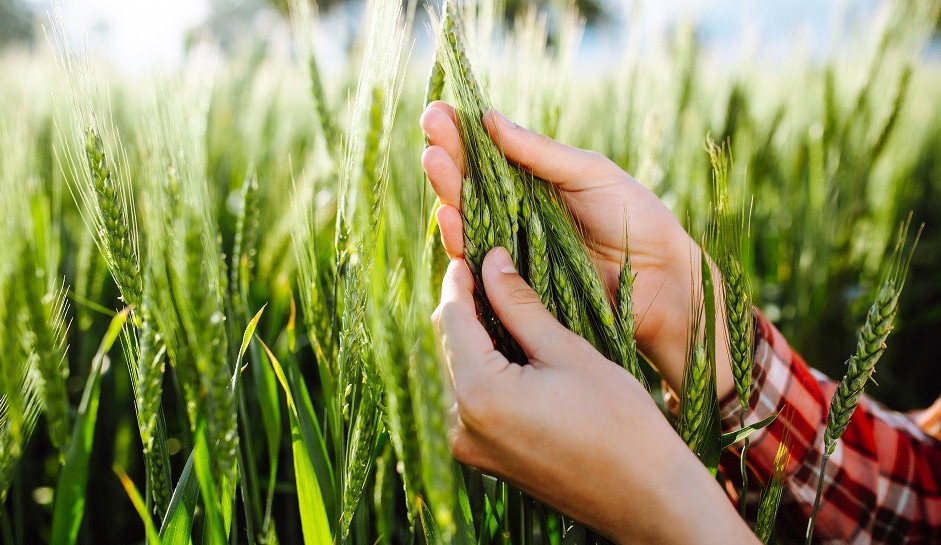 Аграрлық секторда 6 мыңнан астам жұмыс орны ашылады