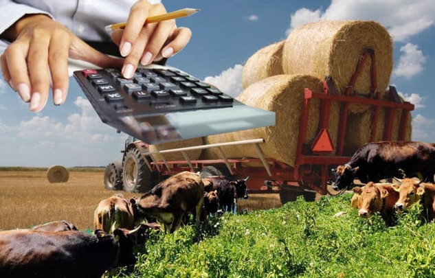 Елімізде ауыл шаруашылығы санағы басталды