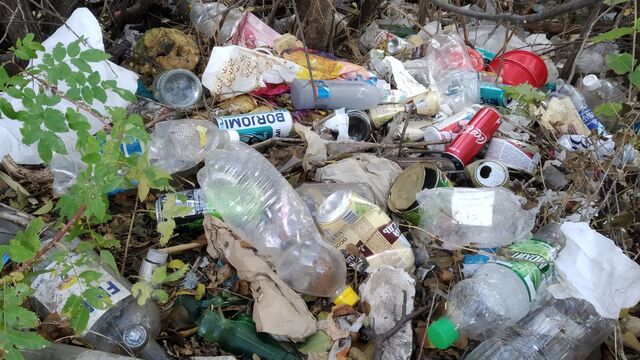 Тазалық қызметі қырағы бақыланады