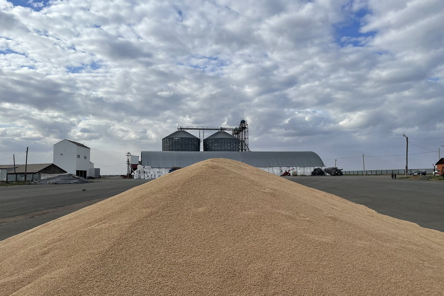 Қостанай облысында 34 астық қабылдау орны дайындалды