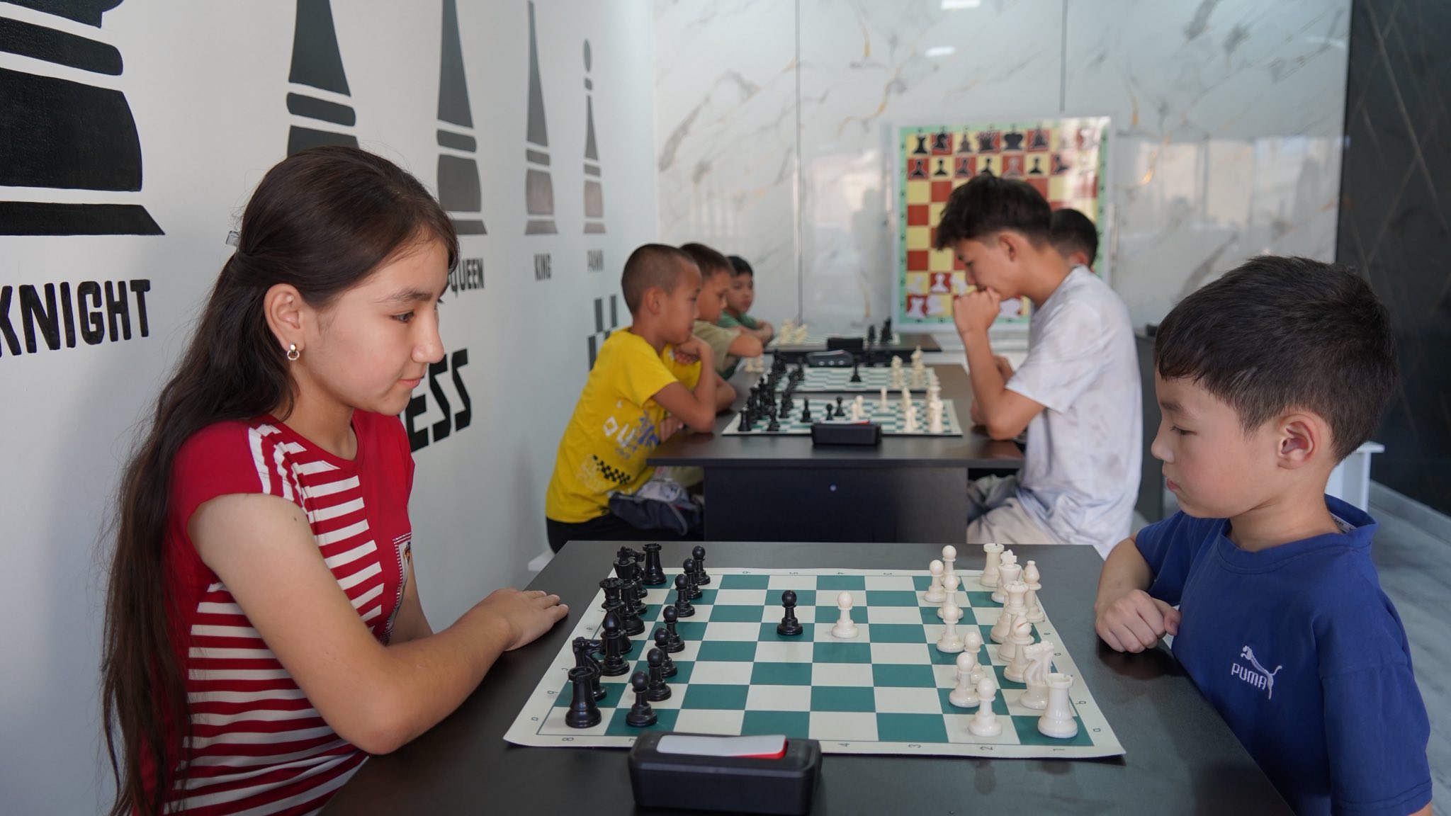 Түркістан облысында  2500-ге жуық спортшы шахматпен тұрақты айналысады