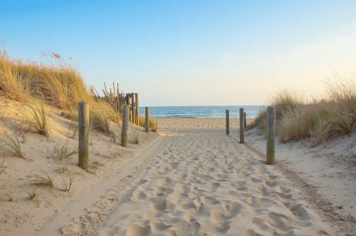 Үздік жағажай  анықталды