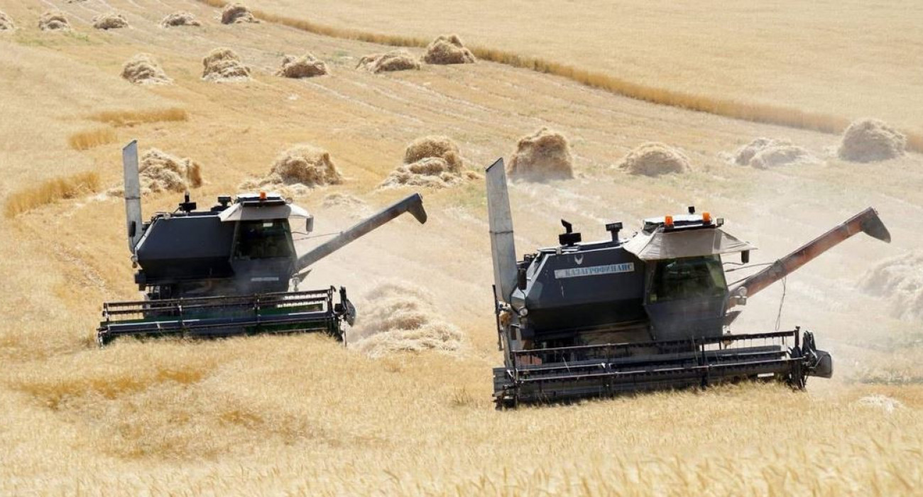 Кемеровоның жетілген жезөкшелері