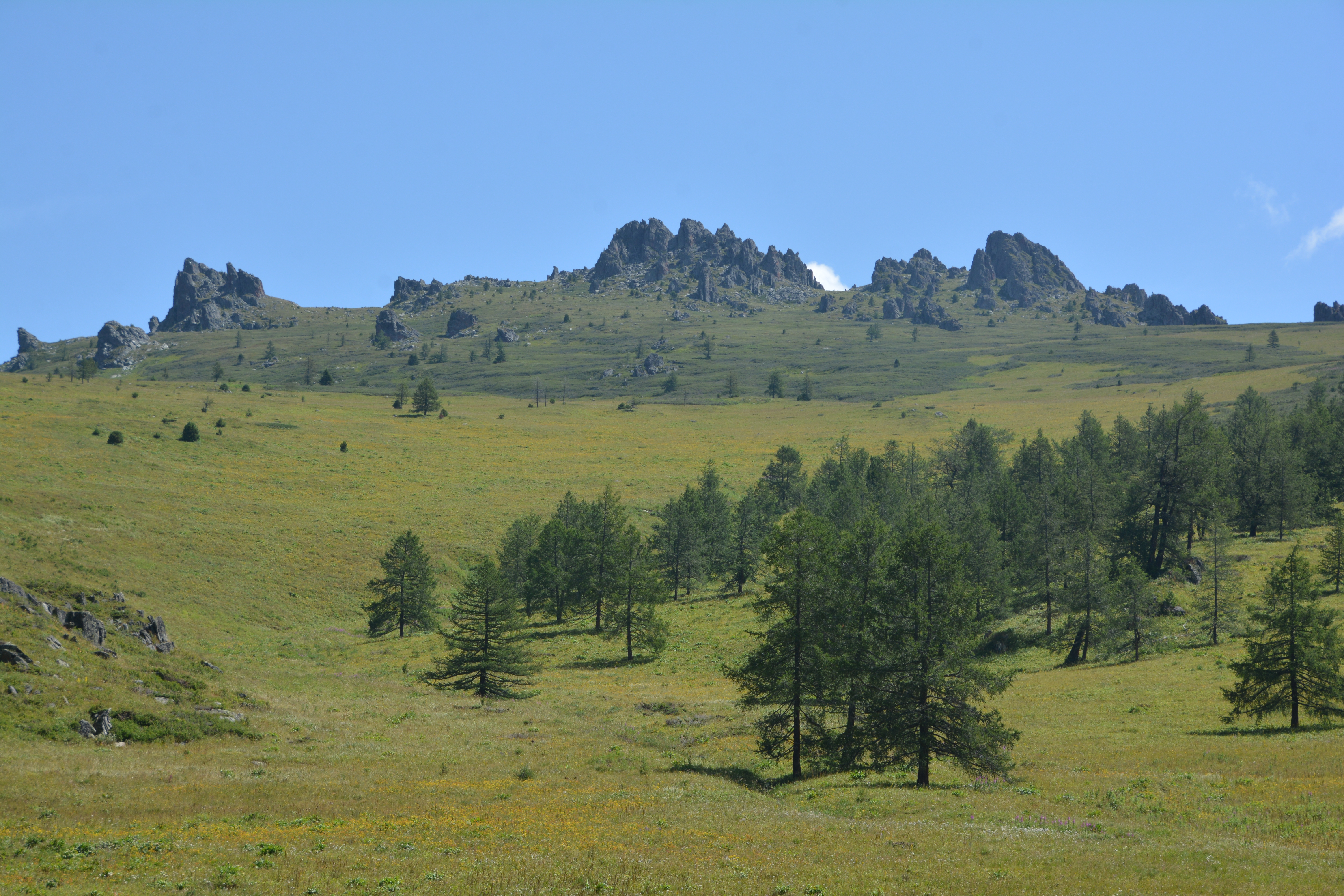 Бірі сорса, екіншісі ер адамның көсегін жалайды