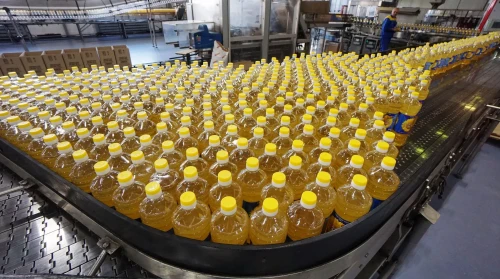 Елімізде күнбағыс майының өндірісі 24,9% артты