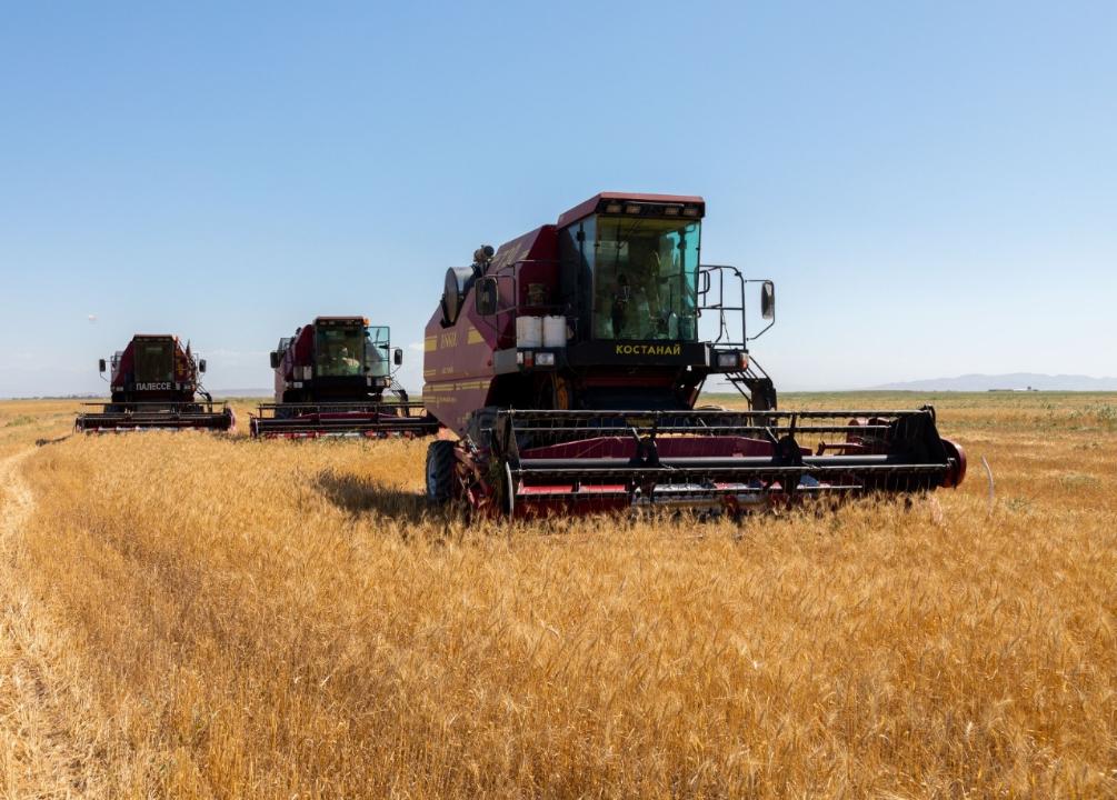 4 миллион тоннаға жуық ауыл шаруашылығы өнімін жинамақ