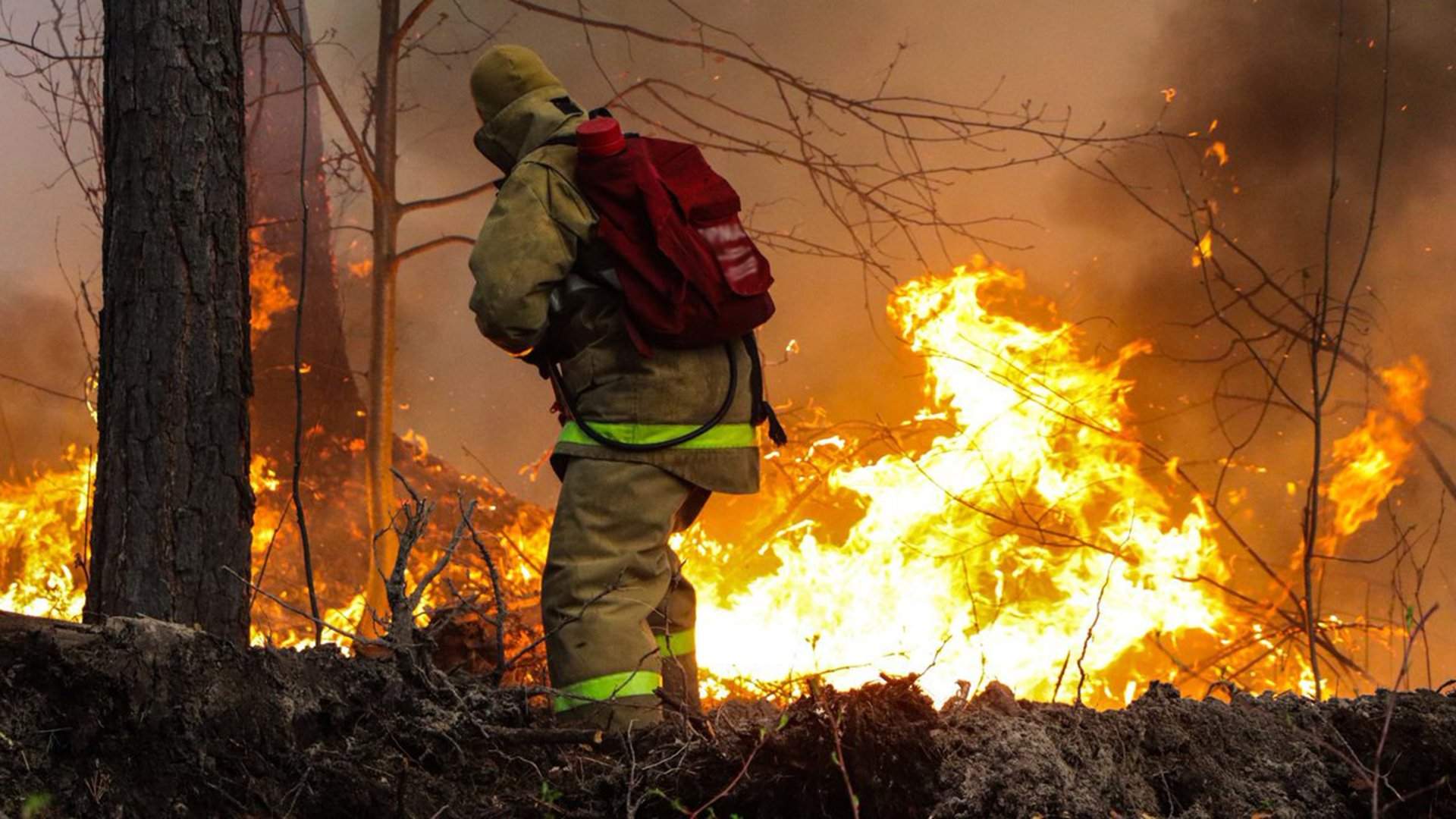 Ресейдің төрт өңірінде орман өртіне байланысты төтенше жағдай жарияланды