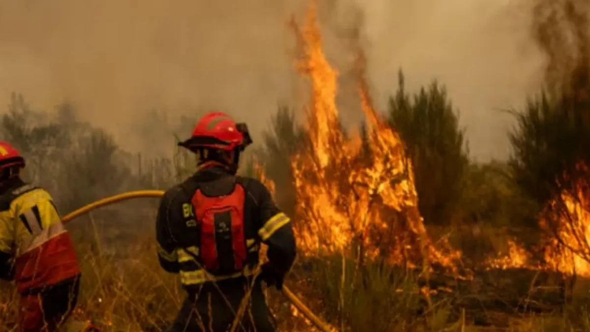 Испанияда орман өртіне қатысы бар 48 адам ұсталды