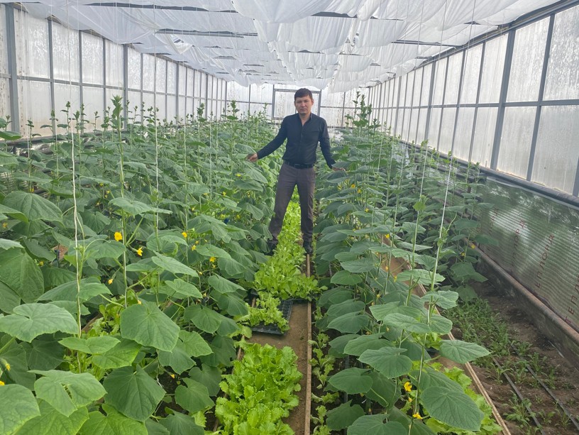 Дочай русскоемен жыныстық қатынас Транни попуга алады