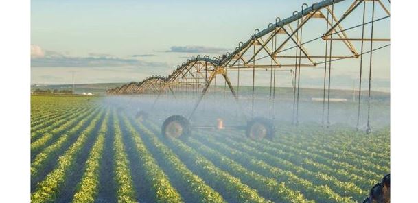 Елімізде суару маусымы аяқталуға таяу