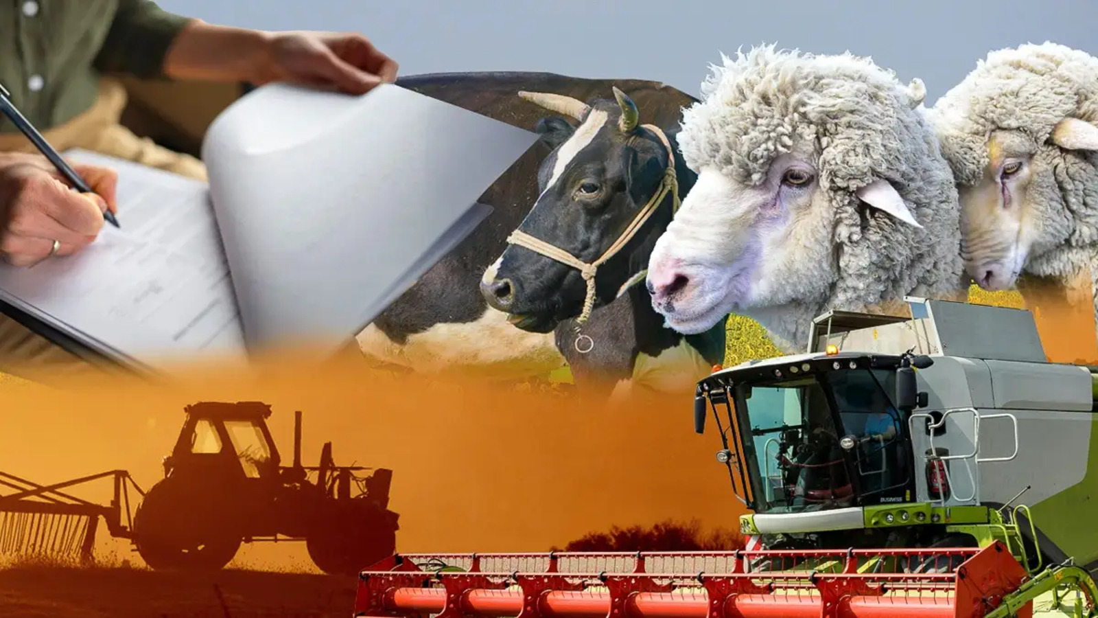 Ауыл шаруашылығы санағының онлайн кезеңі 20 қыркүйекке дейін ұзартылды