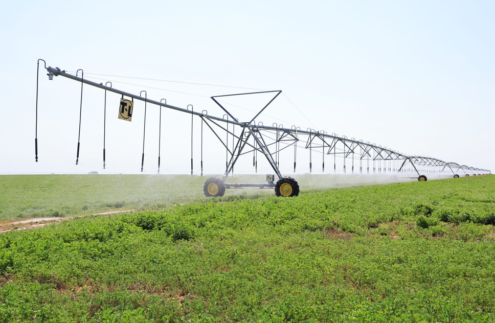 Ауылды өркендетер бағдарлама