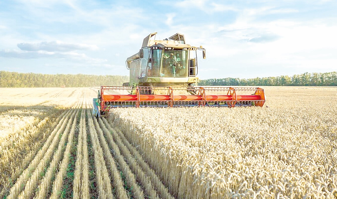 Елімізде 5,9 млн тонна астық жиналды